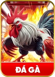Đá gà icon