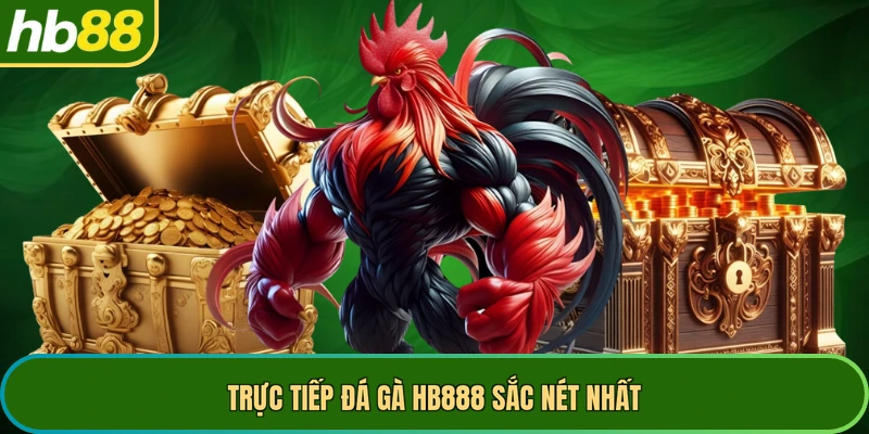 Trực tiếp đá gà HB888 sắc nét nhất